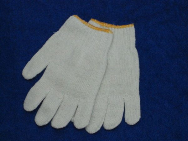 SKH DailyWear-Yellow Trim Gloves